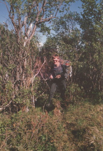 Durchs Gestr�pp...